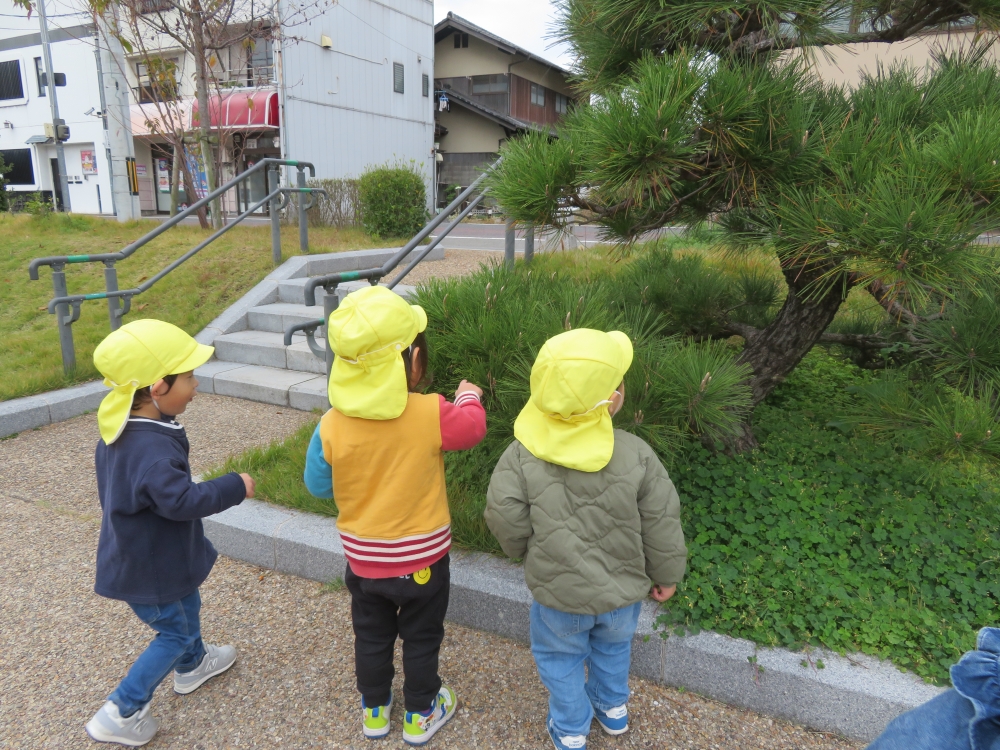 秋のお散歩、楽しんでいます